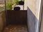 Immagine 15