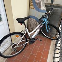 Bicicletta usata