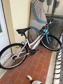 Bicicletta usata