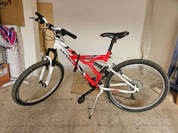 Bicicletta Mountain Bike