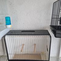 gabbia da esposizione 