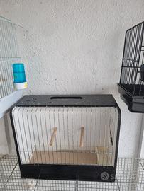 gabbia da esposizione 