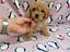 Immagine 15