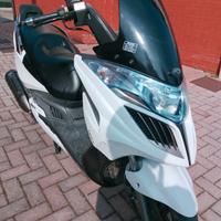 kimco gran dink 125