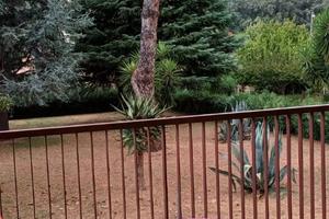 Stanze disponibili per studenti/lavoratrici