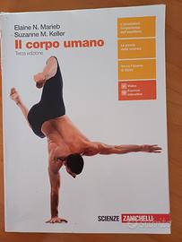 libro superiori anatomia