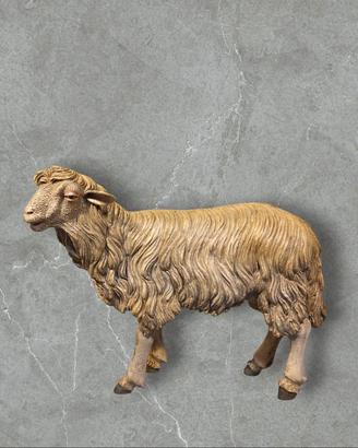 Pecora Capra Caprone Animale x Pastore x Presepe 