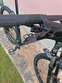 Cannondale trail 5