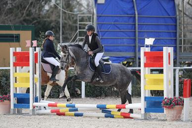 Pony da salto