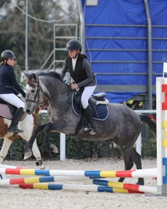 Pony da salto