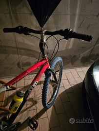 bicicletta 