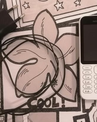 Nokia 222 Dual Sim + Caricatore.
Bianco. Resettato