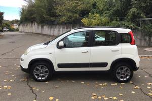 Fiat Panda 1.3 MJT S&S 4x4