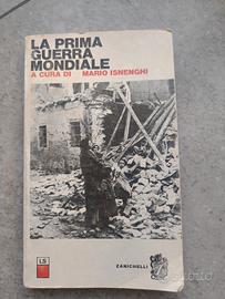 libro "La prima guerra mondiale" 