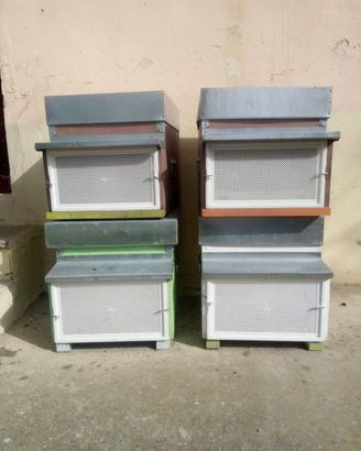 Casette per api