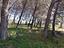 Immagine 12