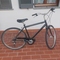 bici uomo