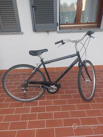 bici uomo