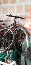 MTB - telai e complete bici