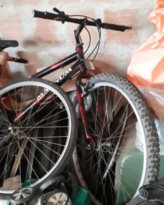 MTB - telai e complete bici