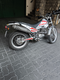 Beta Alp 200 anno 2008