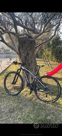 olympia full carbonio