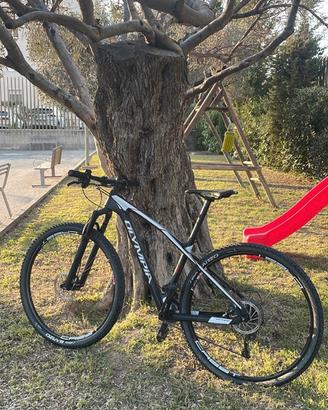 olympia full carbonio