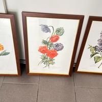 Qudri con stampa floreale