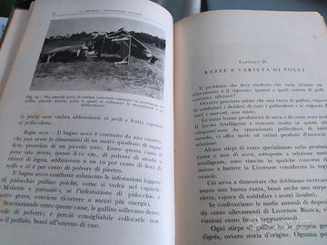 pollicoltura libro