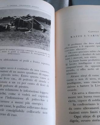 pollicoltura libro