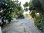 Immagine 11