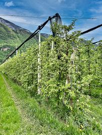 Meleto biologico ad Appiano, Unterrainerstraße