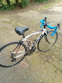 Bianchi nirone tg s
