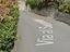 Immagine 13