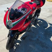 MV Agusta F4 1000 Monoposto - 2005