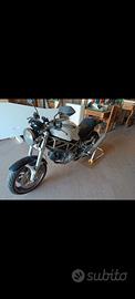 Ducati Monster