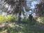 Immagine 14