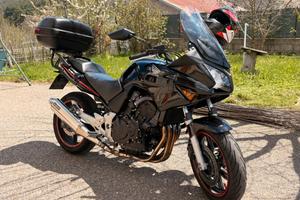 CBF 600