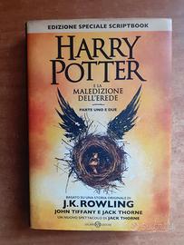 libri inerenti "Harry Potter".