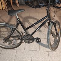 N1 bicicletta Mountain bike 