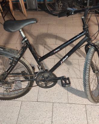 N1 bicicletta Mountain bike 