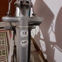 Bicicletta elettrica a pedalata assistita