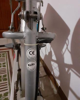 Bicicletta elettrica a pedalata assistita