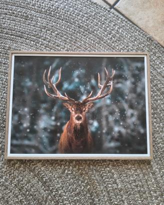Quadro con cervo nel bosco