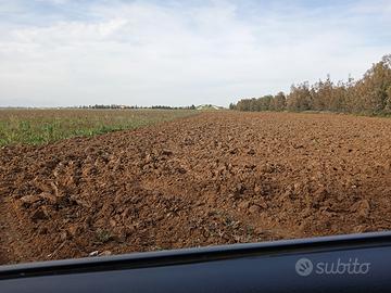 Due terreni agricoli