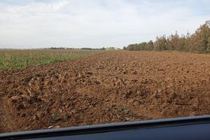 Due terreni agricoli