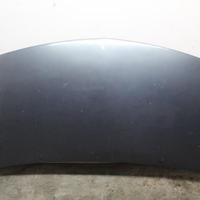 COFANO ANTERIORE RENAULT Twingo II serie D4FJ7 (07