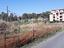 Immagine 21
