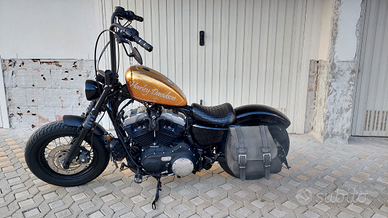 Harley Davidson forty eight 1200