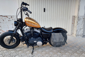 Harley Davidson forty eight 1200